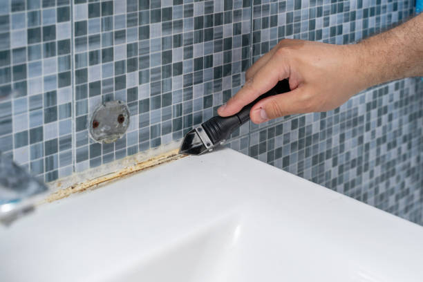 Best Post-Remediation Services in Rio Hondo, TX